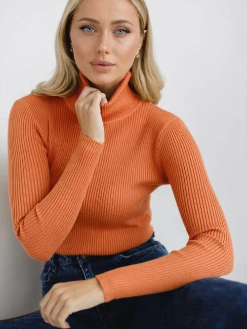 Basic Turtleneck Knitted Sweaters Autumn Winter Thick Warm