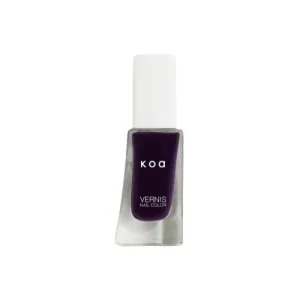 Elderberry 626
